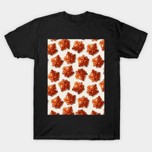 Canadian Maple Syrup Candy Pattern T-Shirt